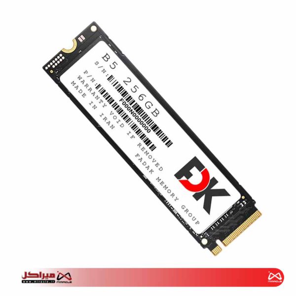 اس اس دی اینترنال فدک مدل B5 M.2 ظرفیت 256 گیگابایت - تصویر 2