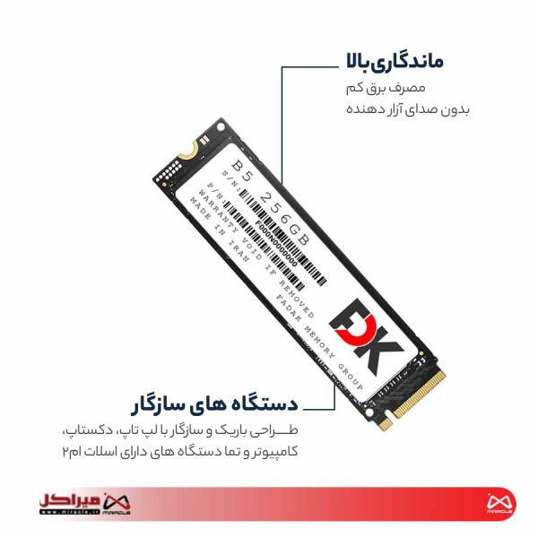 اس اس دی اینترنال فدک مدل B5 M.2 ظرفیت 256 گیگابایت - تصویر 4