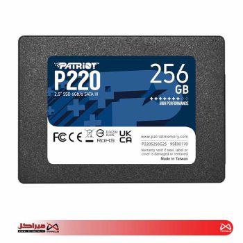 اس اس دی اینترنال پتریوت مدل P220 ظرفیت 256 گیگابایت