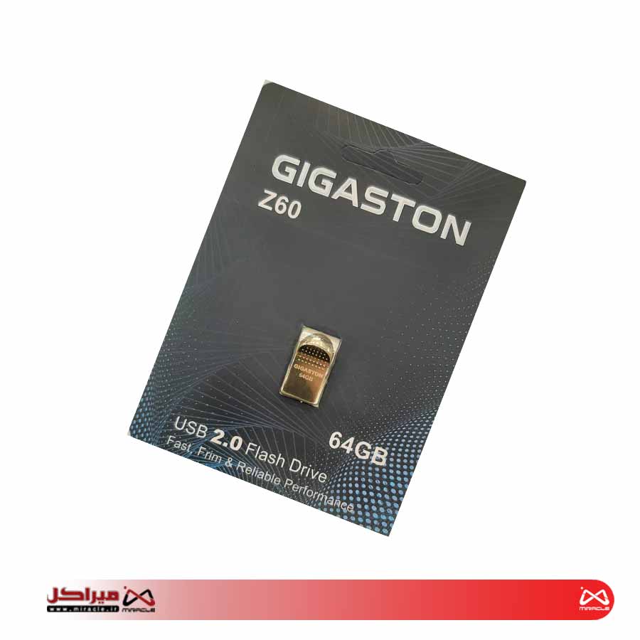 USB FLASH GIGASTON Z60 USB2 64GB