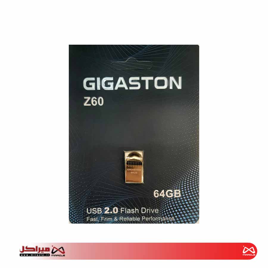 USB FLASH GIGASTON Z60 USB2 64GB - تصویر 2